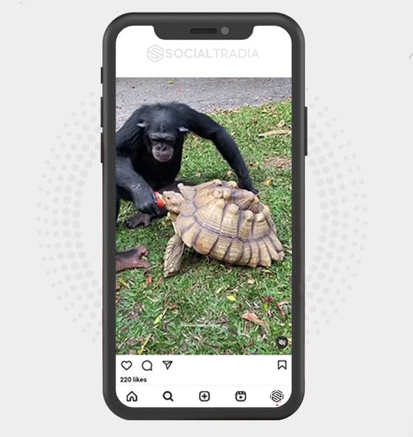 buy Instagram account NaturalScenes (2.2 k Followers)