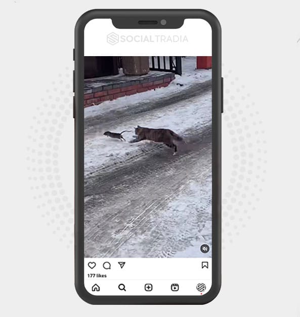 buy Instagram account NaturalScenes (2.2 k Followers)