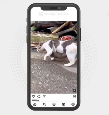 buy instagram account