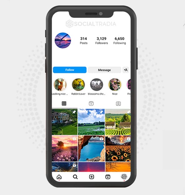 buy Instagram account NaturePlus (3.1 k Followers)