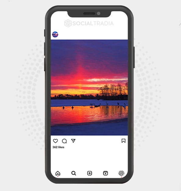 buy Instagram account NaturePlus (3.1 k Followers)