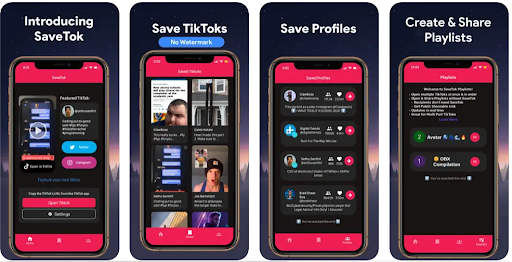 SaveTok TikTok Watermark Remover