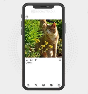 buy instagram account