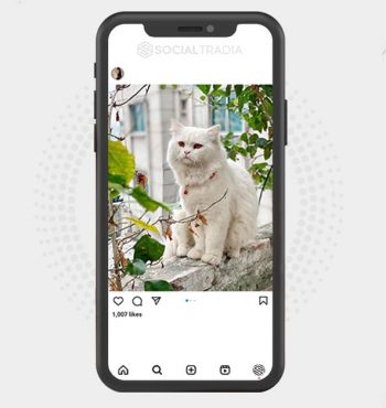 buy instagram account