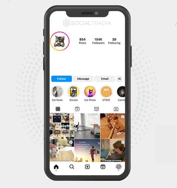 buy Instagram account PetShops ( 135 k Followers)