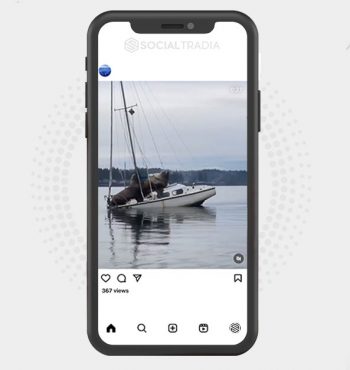 buy instagram account