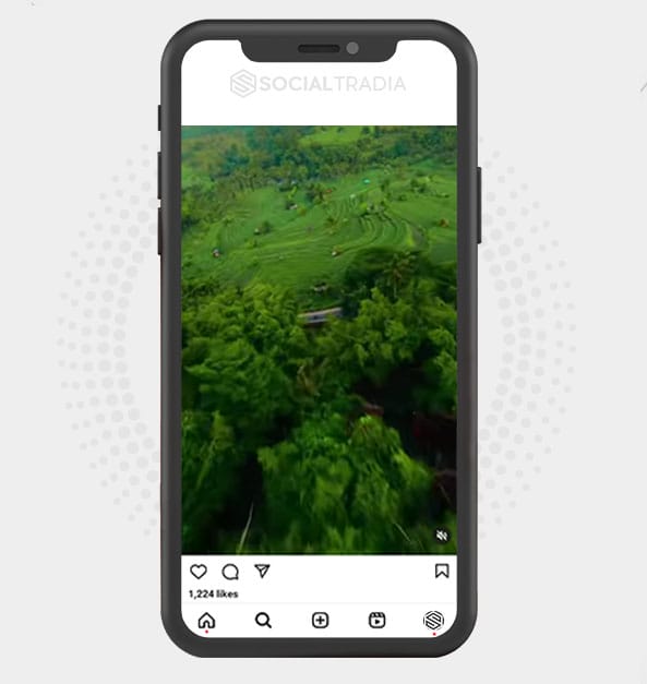 buy Instagram account Perfect Nature (8.6 k Followers)