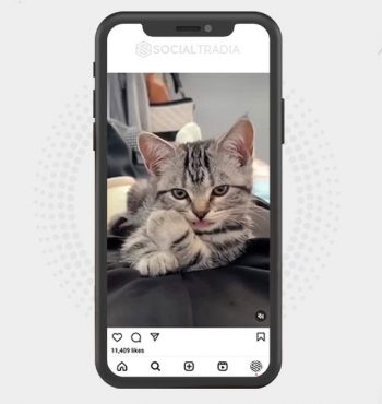 buy instagram account