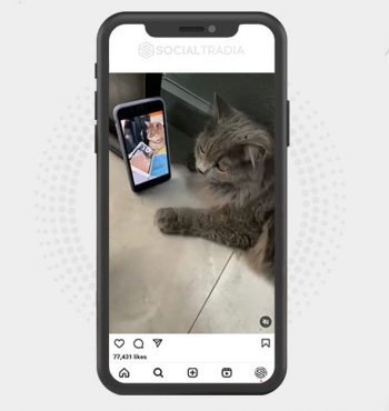 buy instagram account