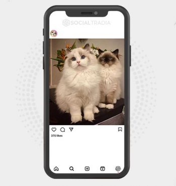 buy instagram account