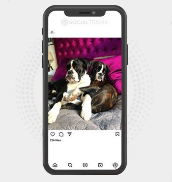 buy instagram account