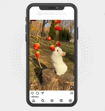 buy instagram account