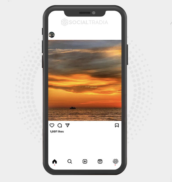 buy Instagram account Live Nature (4 k Followers) buy Instagram account Live Nature (4 k Followers)