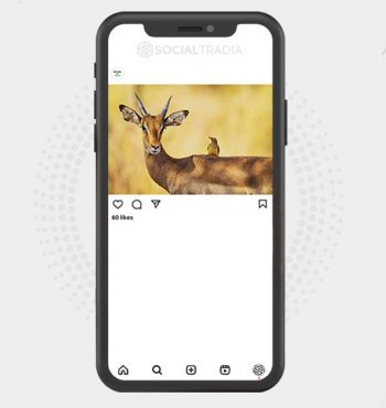 buy instagram account