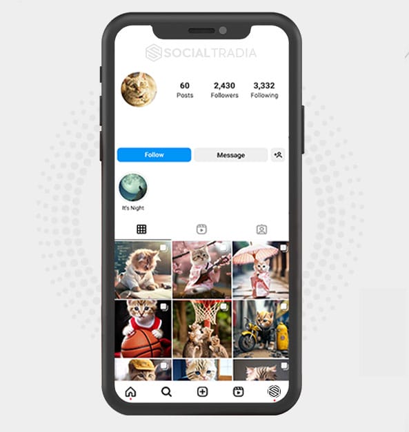 buy Instagram account Pets Pal (2.4 k Followers)