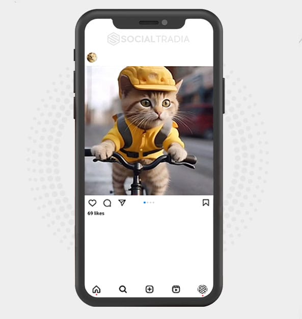 buy Instagram account Pets Pal (2.4 k Followers)