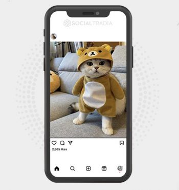 buy instagram account
