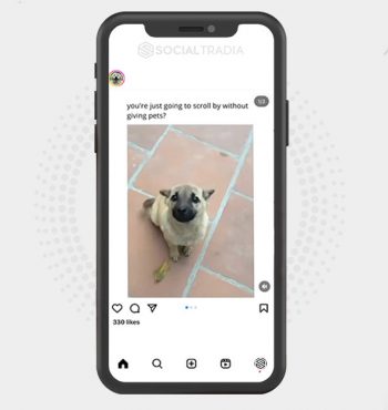buy instagram account