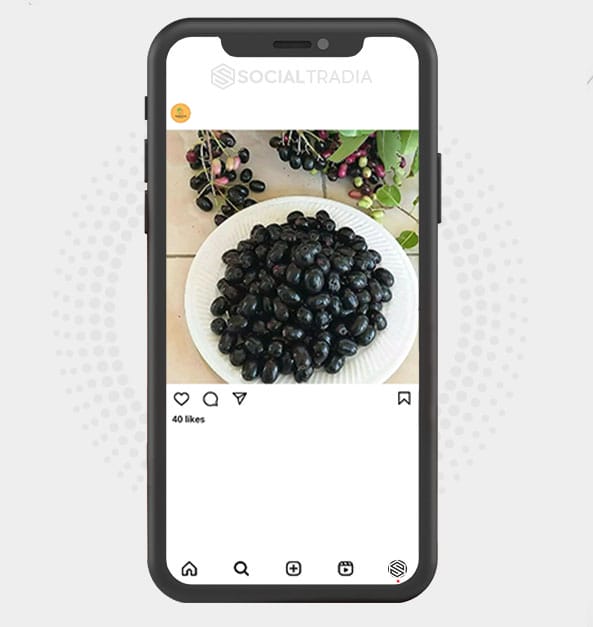 buy Instagram account EatFresh (7.6 k Followers) buy Instagram account EatFresh (7.6 k Followers)