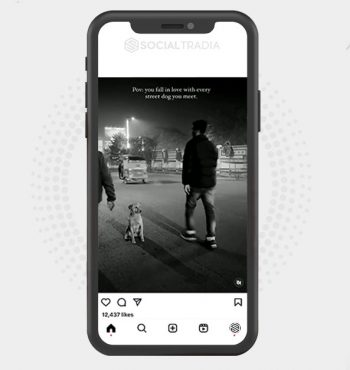 buy Instagram account Animal Care (56.2 k Followers)