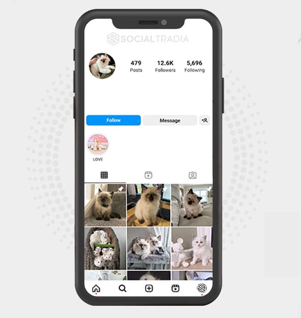 buy Instagram account Cats Happy (18.1 k Followers)