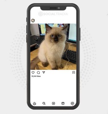 buy instagram account