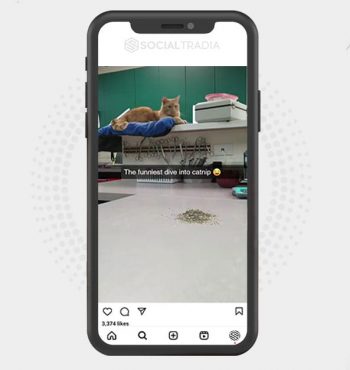 buy instagram account