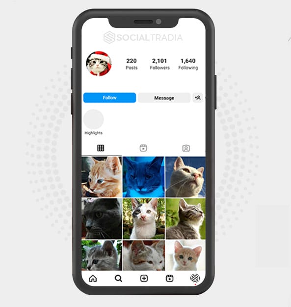 buy Instagram account KittyCup (2 k Followers) buy Instagram account KittyCup (2 k Followers)