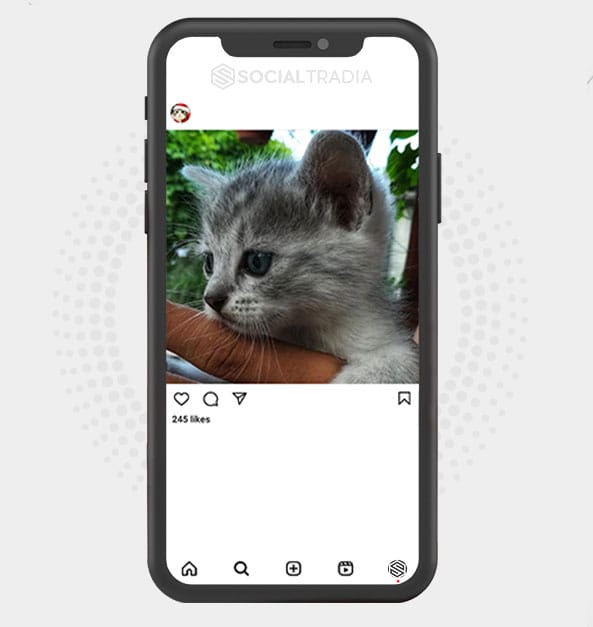 buy Instagram account KittyCup (2 k Followers) buy Instagram account KittyCup (2 k Followers)