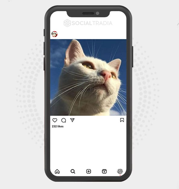 buy Instagram account KittyCup (2 k Followers) buy Instagram account KittyCup (2 k Followers)