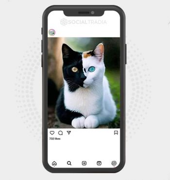 buy instagram account
