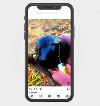 buy Instagram account Foods Charm (3.1 k Followers)