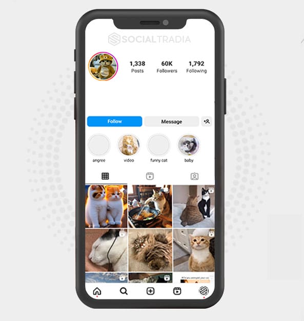 buy Instagram account KittyLove (51.4 k Followers)