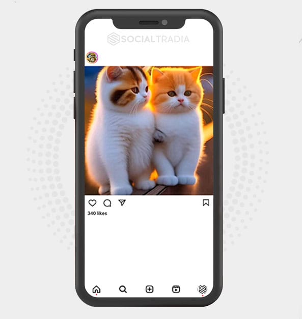 buy Instagram account KittyLove (51.4 k Followers)