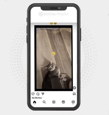 buy Instagram account Kitty Hub (30.4 k Followers)
