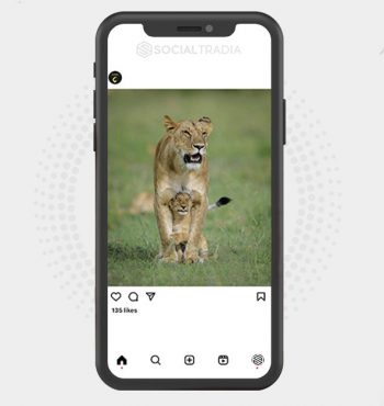 buy Instagram account Direct Adventure (5 k Followers)