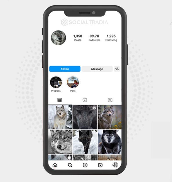 Instagram account Wolf Town (99.7 k Followers)