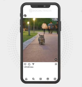 buy Instagram account Kitty Score (13.6 k Followers)