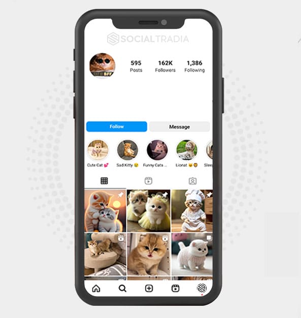 buy Instagram account Super Cats (168 k Followers)