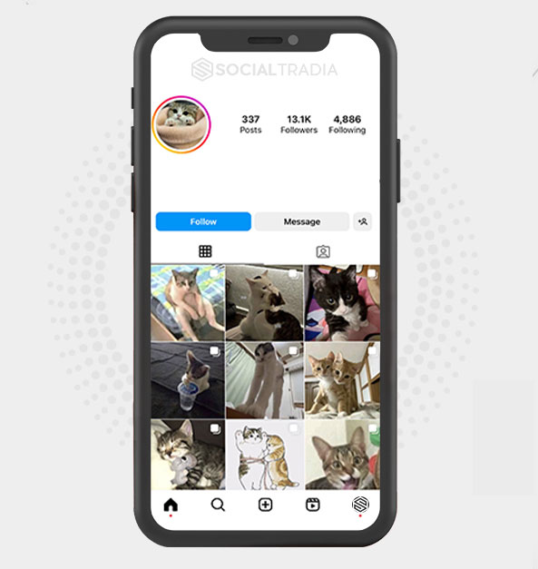 buy Instagram account KittenSource (29.2 k Followers)