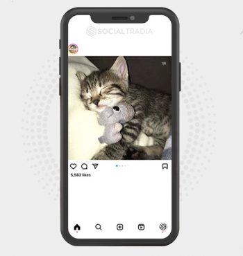 buy Instagram account KittenSource (29.2 k Followers)