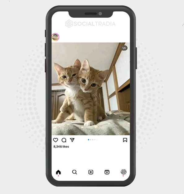 buy Instagram account KittenSource (29.2 k Followers)
