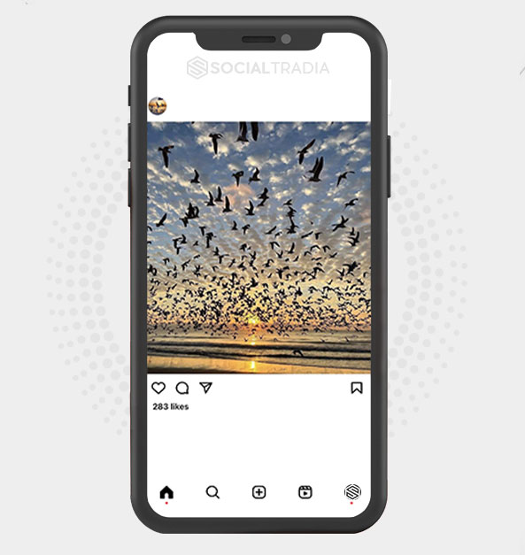buy Instagram account Nature Moment (3 k Followers)