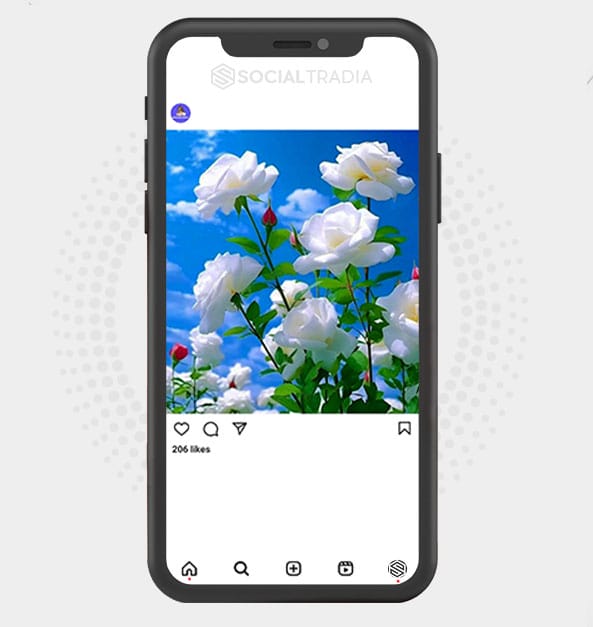 buy Instagram account Great Nature (2.6 k Followers) buy Instagram account Great Nature (2.6 k Followers)