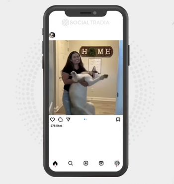 buy Instagram account HuskyPlace (13.8 k Followers)