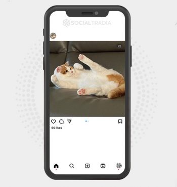 buy Instagram account KittyHall (2.2 k Followers)