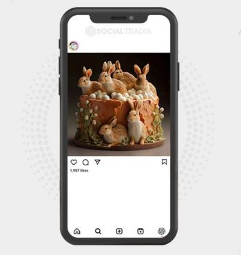 buy Instagram account Nice Rabbit (4.3 k Followers)