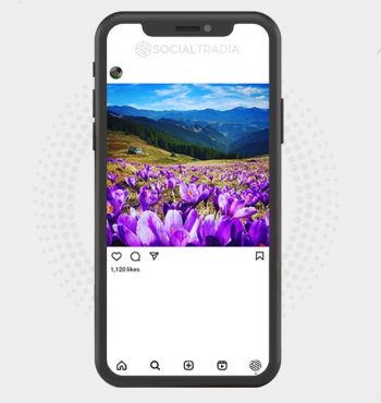buy Instagram account Flower Land (2.1 k Followers)