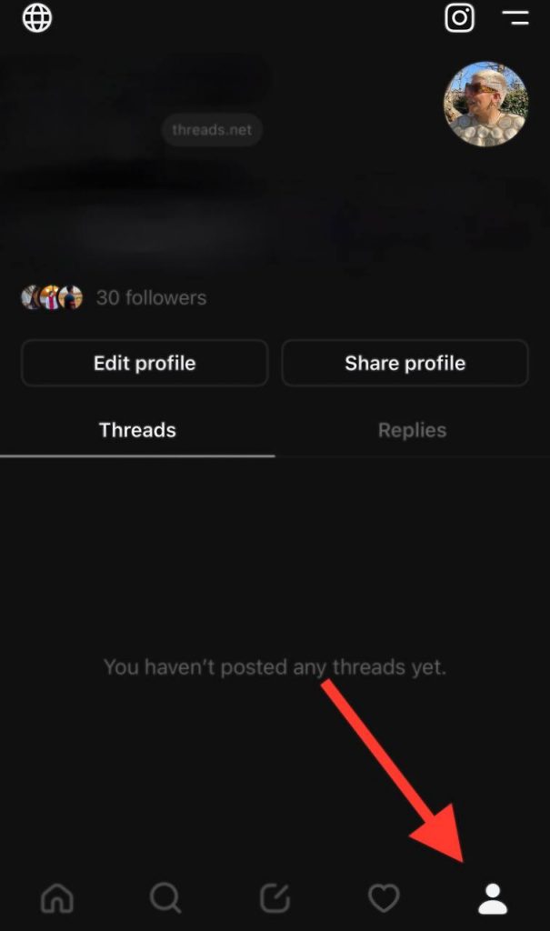 Instagram Threads Profile section 