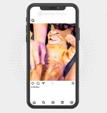 buy Instagram account Kitty Sweet (22 k Followers)